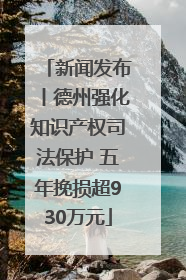 新闻发布丨德州强化知识产权司法保护 五年挽损超930万元