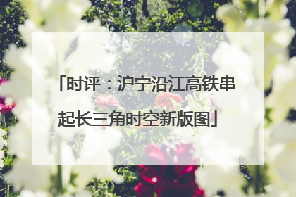 时评：沪宁沿江高铁串起长三角时空新版图