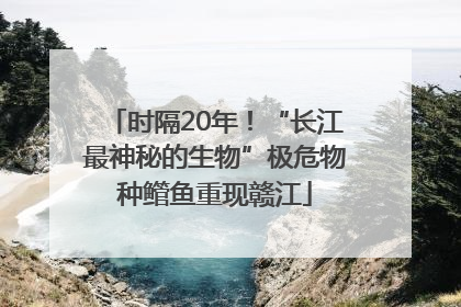 时隔20年！“长江最神秘的生物”极危物种鳤鱼重现赣江