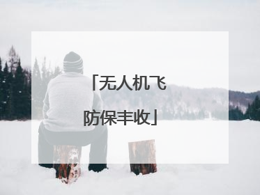 无人机飞防保丰收