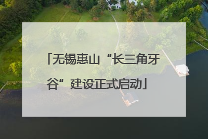 无锡惠山“长三角牙谷”建设正式启动