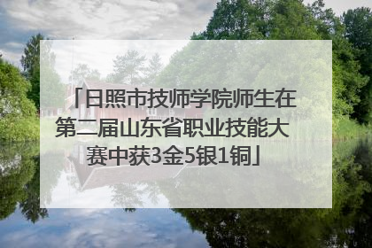日照市技师学院师生在第二届山东省职业技能大赛中获3金5银1铜