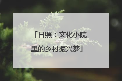 日照:文化小院里的乡村振兴梦
