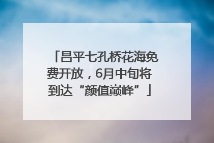 昌平七孔桥花海免费开放，6月中旬将到达“颜值巅峰”