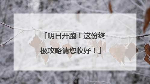 明日开跑！这份终极攻略请您收好！