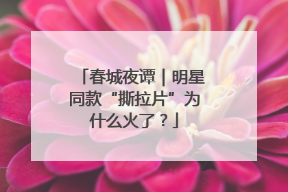 春城夜谭｜明星同款“撕拉片”为什么火了？