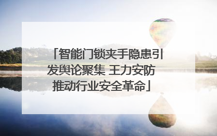 智能门锁夹手隐患引发舆论聚集 王力安防推动行业安全革命