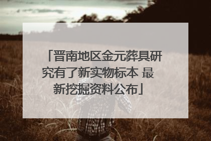 晋南地区金元葬具研究有了新实物标本 最新挖掘资料公布