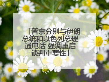 普京分别与伊朗总统和以色列总理通电话 强调重启谈判重要性