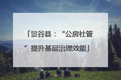 景谷县：“公房社管”提升基层治理效能