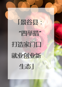 景谷县：“四举措”打造家门口就业创业新生态