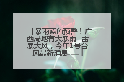 暴雨蓝色预警！广西局地有大暴雨+雷暴大风，今年1号台风最新消息……
