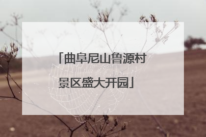 曲阜尼山鲁源村景区盛大开园