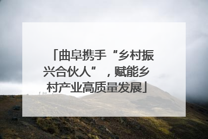 曲阜携手“乡村振兴合伙人”，赋能乡村产业高质量发展