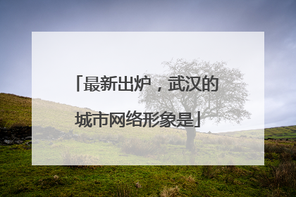最新出炉，武汉的城市网络形象是