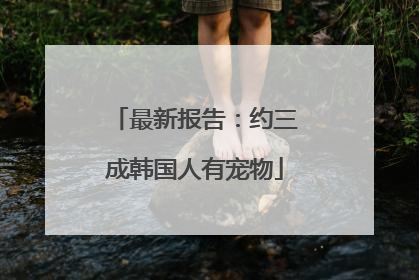 最新报告：约三成韩国人有宠物