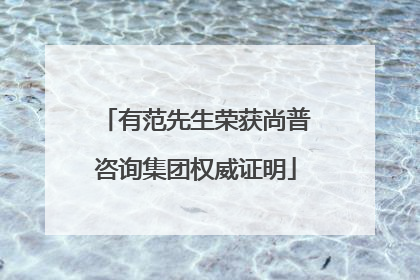 有范先生荣获尚普咨询集团权威证明
