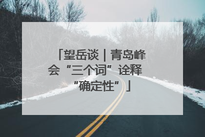 望岳谈｜青岛峰会“三个词”诠释“确定性”