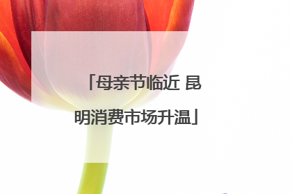 母亲节临近 昆明消费市场升温