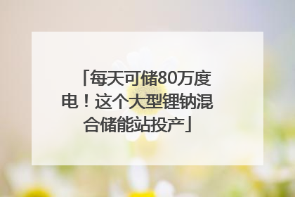 每天可储80万度电！这个大型锂钠混合储能站投产
