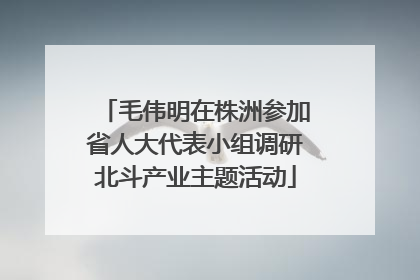 毛伟明在株洲参加省人大代表小组调研北斗产业主题活动