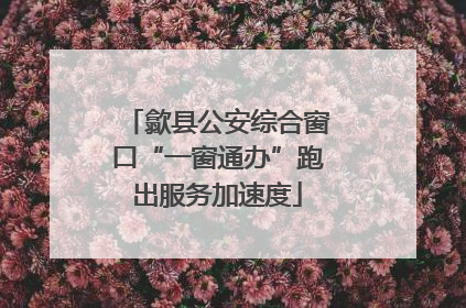 歙县公安综合窗口“一窗通办”跑出服务加速度