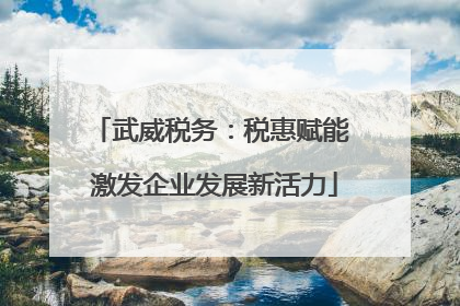 武威税务：税惠赋能 激发企业发展新活力