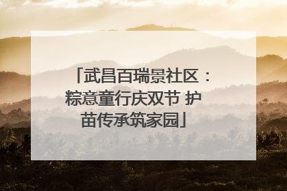 武昌百瑞景社区：粽意童行庆双节 护苗传承筑家园