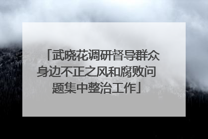 武晓花调研督导群众身边不正之风和腐败问题集中整治工作