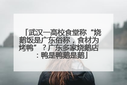 武汉一高校食堂称“烧鹅饭是广东俗称，食材为烤鸭”？广东多家烧鹅店：鸭是鸭鹅是鹅