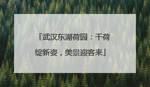 武汉东湖荷园：千荷绽新姿，美景迎客来