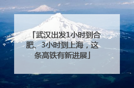 武汉出发1小时到合肥、3小时到上海，这条高铁有新进展
