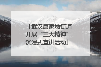 武汉唐家墩街道开展“三大精神”沉浸式宣讲活动
