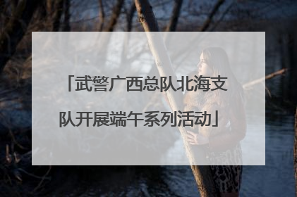 武警广西总队北海支队开展端午系列活动