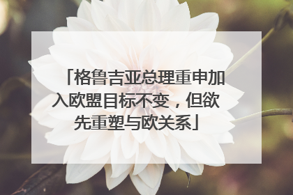 格鲁吉亚总理重申加入欧盟目标不变，但欲先重塑与欧关系