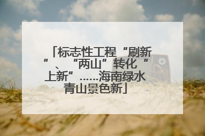 标志性工程“刷新”、“两山”转化“上新”……海南绿水青山景色新