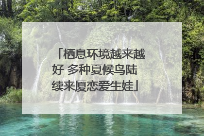 栖息环境越来越好 多种夏候鸟陆续来厦恋爱生娃