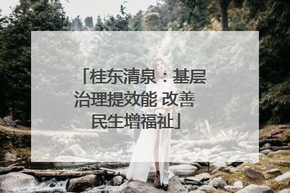 桂东清泉：基层治理提效能 改善民生增福祉