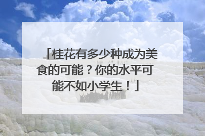 桂花有多少种成为美食的可能？你的水平可能不如小学生！