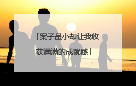 案子虽小却让我收获满满的成就感