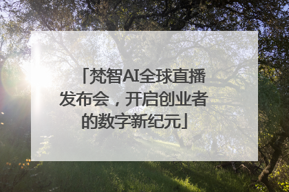 梵智AI全球直播发布会，开启创业者的数字新纪元