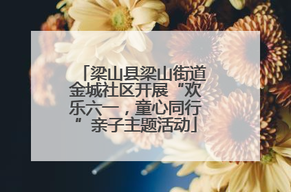 梁山县梁山街道金城社区开展“欢乐六一，童心同行”亲子主题活动