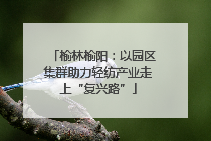 榆林榆阳：以园区集群助力轻纺产业走上“复兴路”