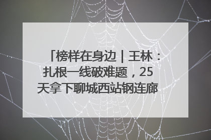 榜样在身边｜王林：扎根一线破难题，25天拿下聊城西站钢连廊“硬核”工程