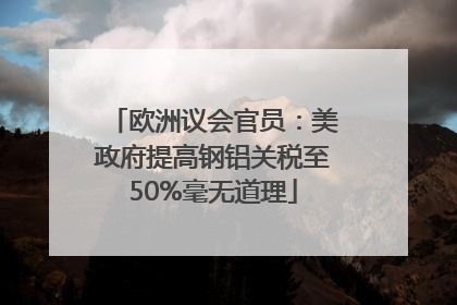 欧洲议会官员：美政府提高钢铝关税至50%毫无道理
