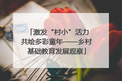 激发“村小”活力 共绘多彩童年——乡村基础教育发展观察