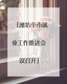 潍坊全市就业工作推进会议召开