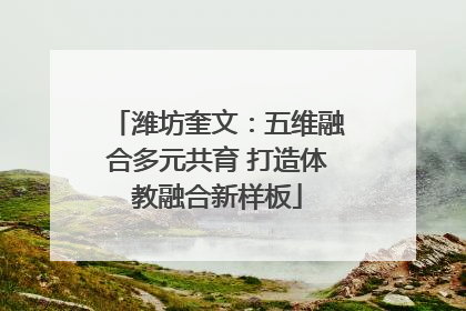 潍坊奎文：五维融合多元共育 打造体教融合新样板