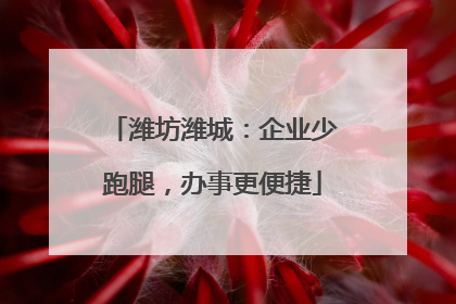 潍坊潍城：企业少跑腿，办事更便捷