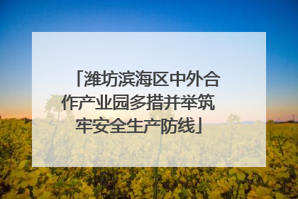 潍坊滨海区中外合作产业园多措并举筑牢安全生产防线